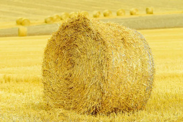 Straw — Stock Photo, Image