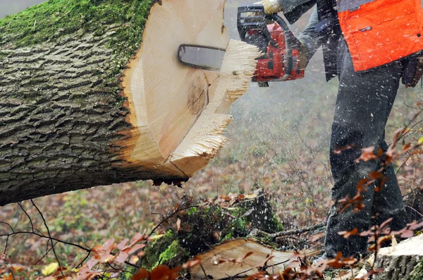 Chainsaw — Stock Photo, Image