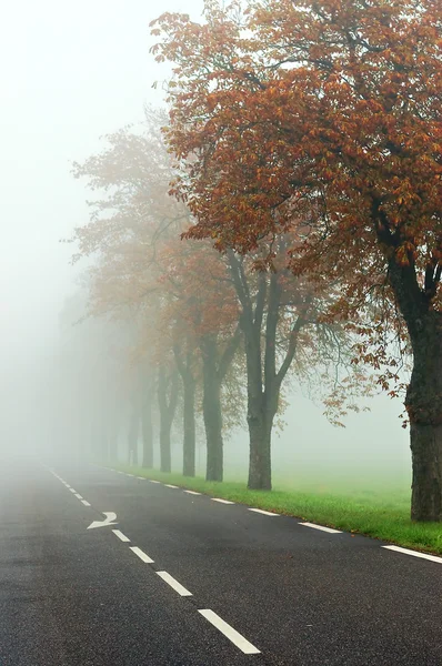 Misty road — Stock Photo, Image