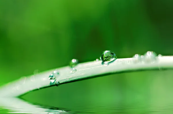 Laat vallen. — Stockfoto