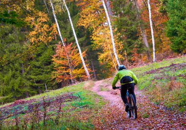 Sonbahar ormanlarında bisiklete binen kişi