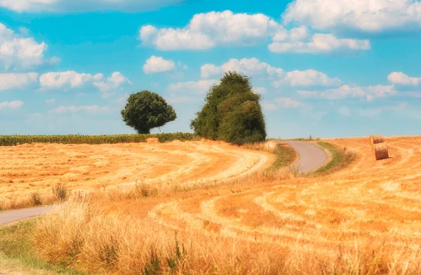 Літній Пейзаж Французькій Сільській Місцевості — стокове фото