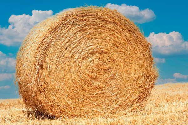 Hay Bales Field — Stock Photo, Image