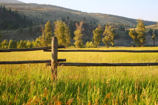 Farmářský plot — Stock fotografie