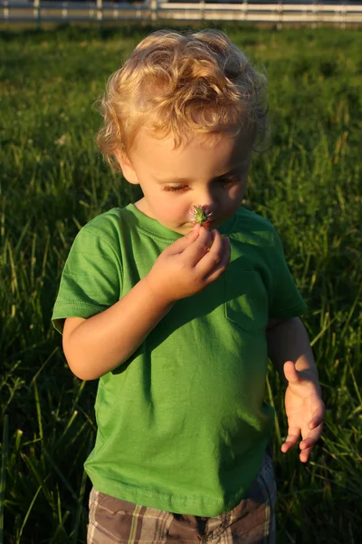 Garçon de ferme — Photo