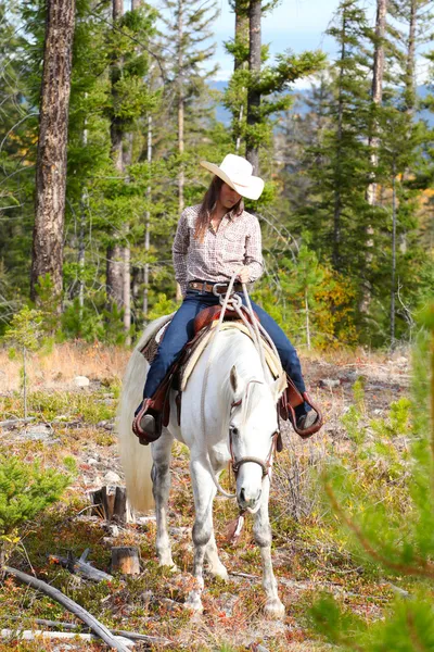 Passeios a cavalo — Fotografia de Stock