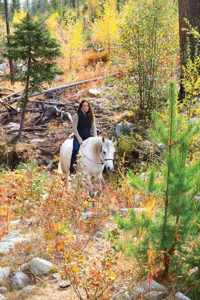 Horseback Riding — Stock Photo, Image