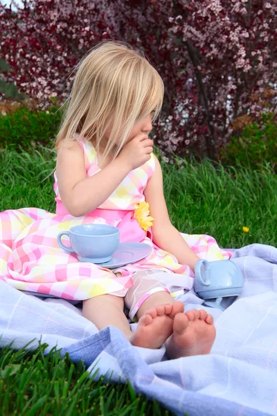 Spring blossoms — Stock Photo, Image