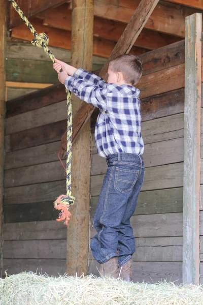 Rope Swing — Stock Photo, Image