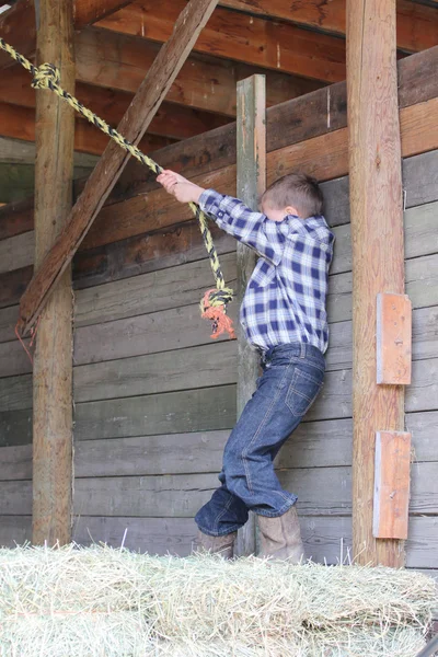 Rope Swing — Stock Photo, Image