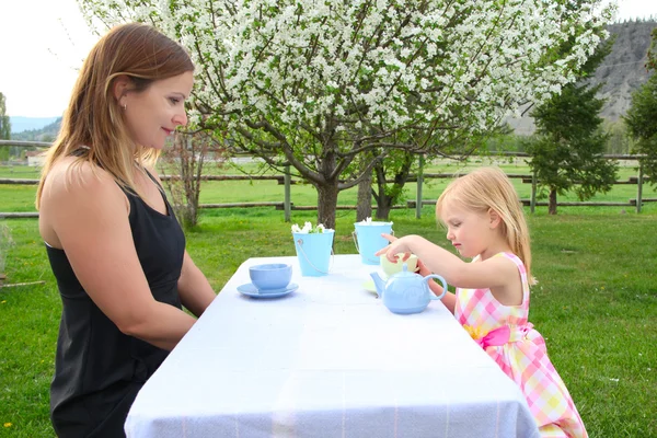 Tee aus dem Garten — Stockfoto