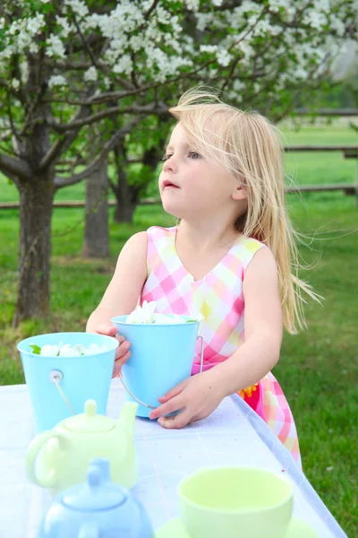 Garden tea — Stock Photo, Image