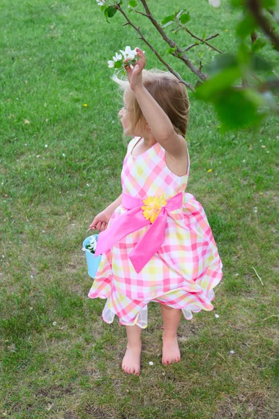 Picking blossoms — Stock Photo, Image