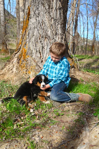 Chlapec a štěně — Stock fotografie