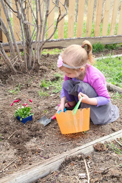 Spring gardening — Stock Photo, Image