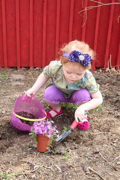 Spring gardening — Stock Photo, Image