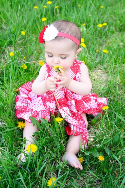 Flower baby — Stock Photo, Image