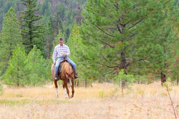 Giovane cowboy — Foto Stock