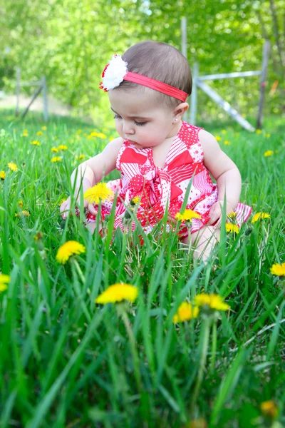 Kwiat noworodek — Zdjęcie stockowe