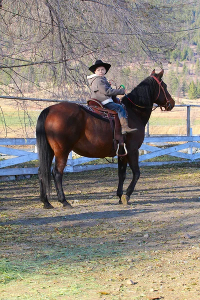 Cowboy and horse — Stock Photo, Image