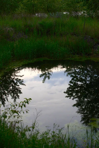 Rybník reflexe — Stock fotografie