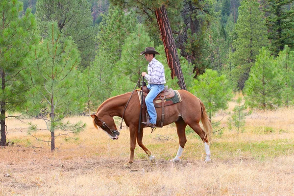 Giovane cowboy — Foto Stock