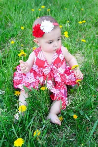 Flower baby — Stock Photo, Image