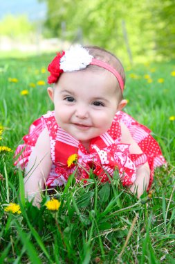 çiçek bebek