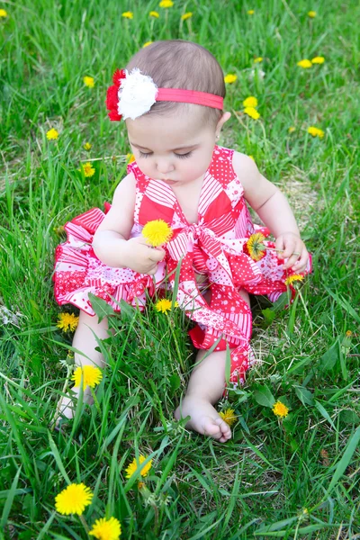 Blomma baby — Stockfoto