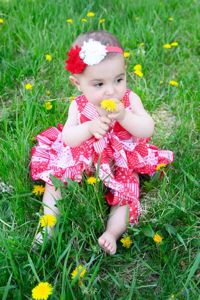 Blomma baby — Stockfoto