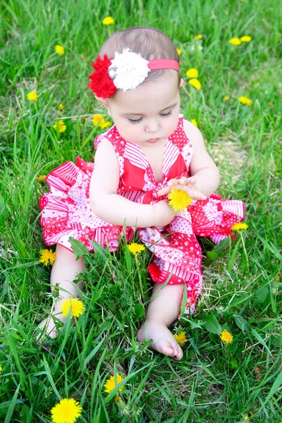 Bloem baby — Stockfoto