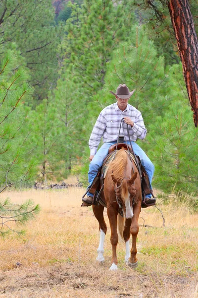 Jovem Cowboy — Fotografia de Stock