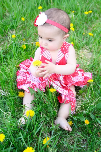 Flower baby — Stock Photo, Image