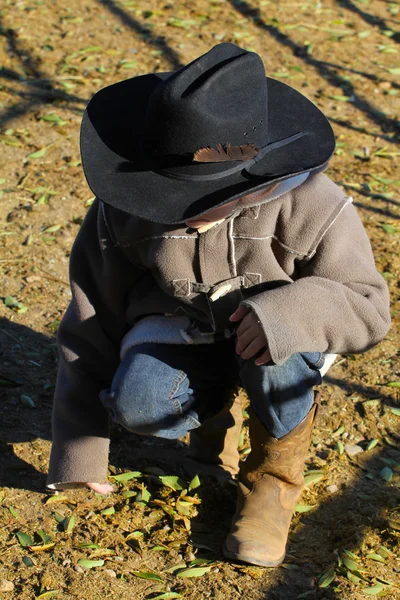 Ung cowboy — Stockfoto