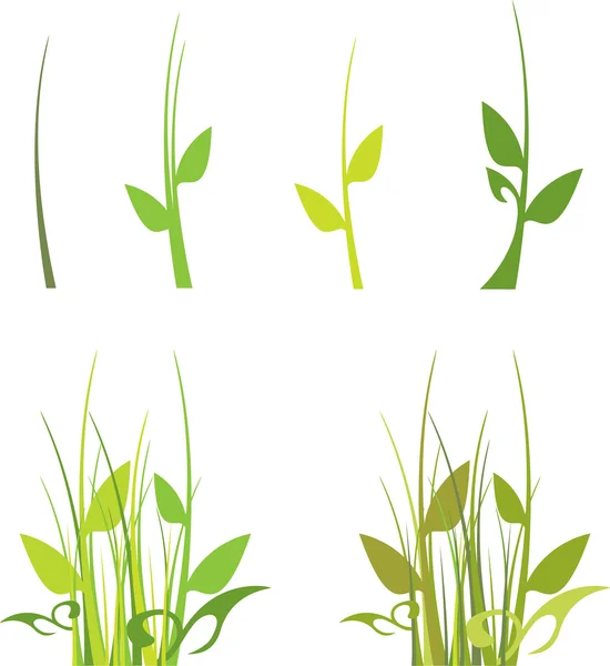 Набір зеленої трави — стоковий вектор