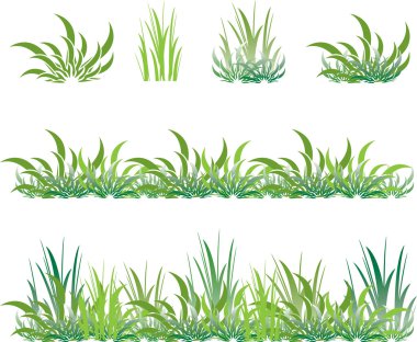 Set of green grass clipart