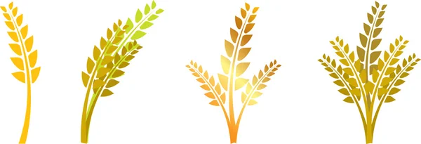 Başak