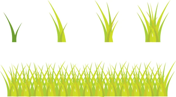 Groen gras — Stockvector