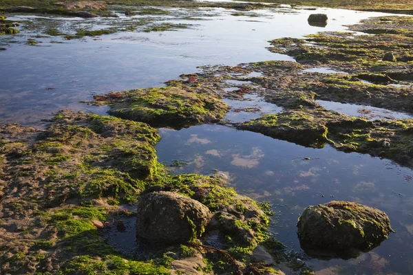 The sea shore by the low tide — Stock Photo, Image