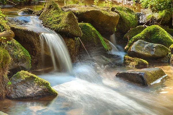 Il fiume nella foresta - HDR — Foto Stock