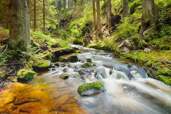 De rivier in het forest - hdr — Stockfoto