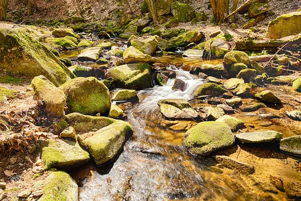 O rio na floresta - HDR — Fotografia de Stock