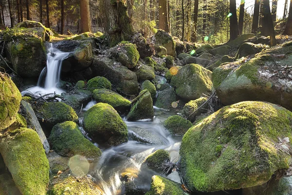 Il fiume nella foresta - HDR — Foto Stock