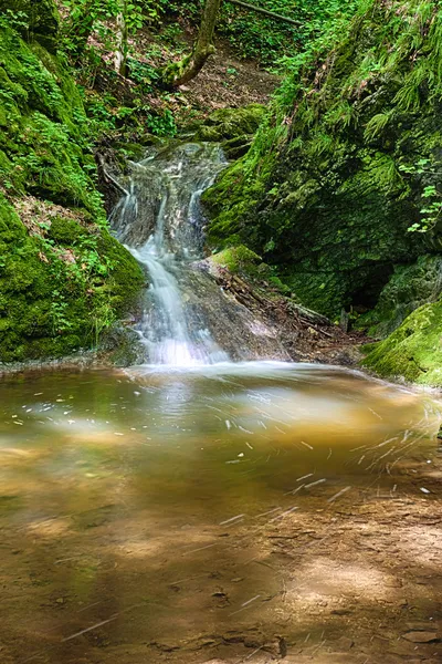 O rio na floresta w cachoeiras- HDR — Fotografia de Stock