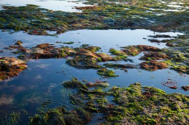 Deniz kıyısında gelgit tarafından