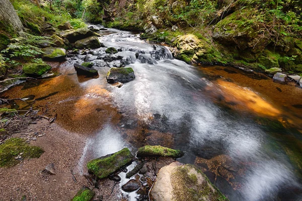 Río en el bosque - HDR — Foto de Stock