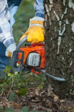 Oduncu ağacı tarafından chainsaw keser.