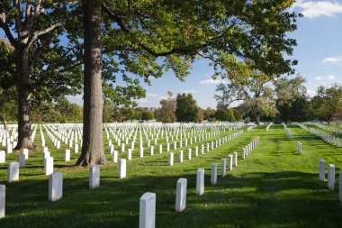 Washington dc - 12 Ekim: satır ve sütunları bizim asker tombsto