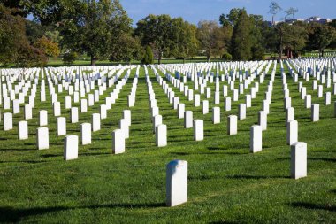 Washington dc - 12 Ekim: satır ve sütunları bizim asker tombsto