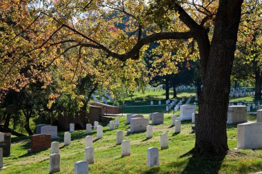 Washington dc - 16 Ekim: satır ve sütunları bizim asker tombsto